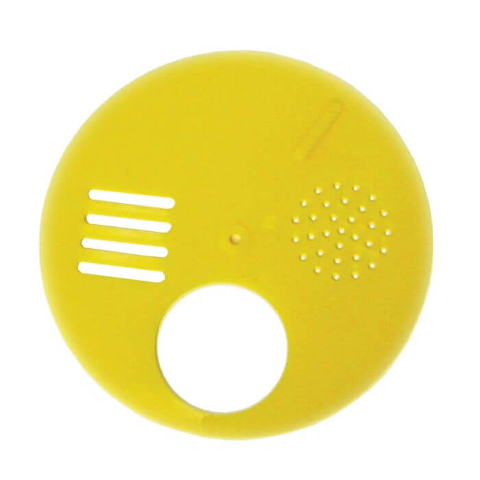 Entrance Disc — view 2