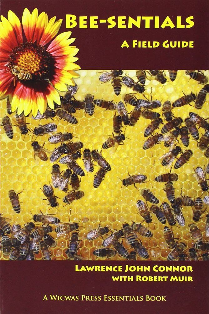 Bee-Sentials: A Field Guide