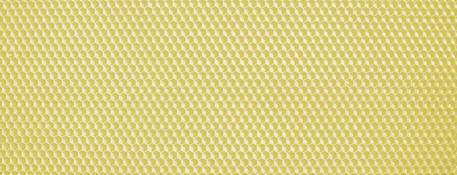 Cut Comb Foundation — Medium 5⅝" × 16½" — 1 lb