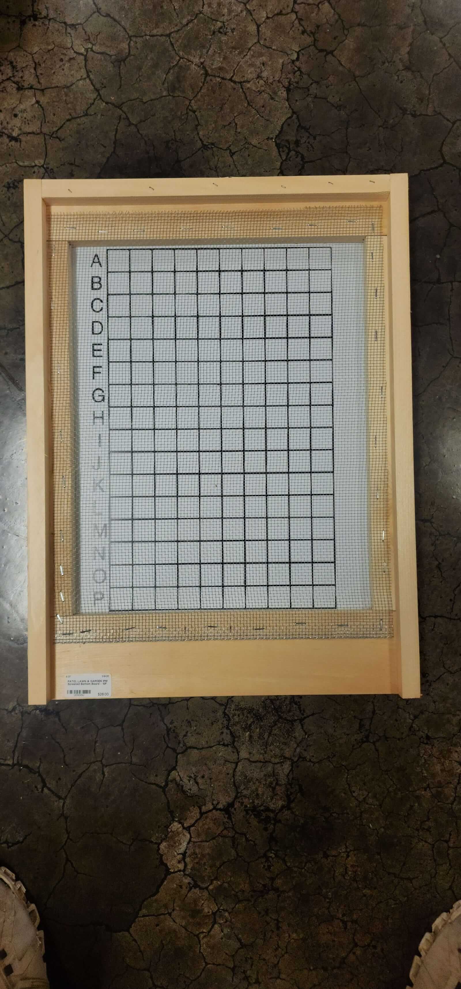 IPM Screened Bottom Board 10 Frame