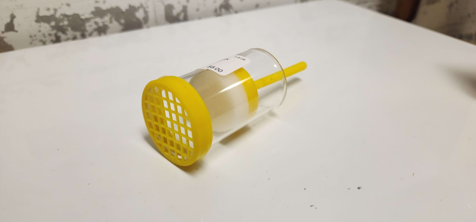 Queen Marking Cage with Plunger